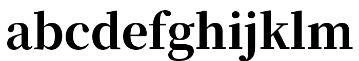 Noto Serif HK 800 Font LOWERCASE