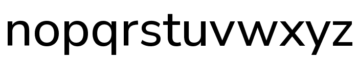 Nunito Sans 500 Font LOWERCASE