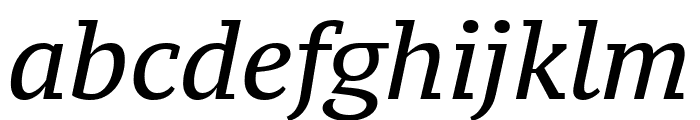 PT Serif Caption italic Font LOWERCASE