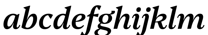 Platypi 500italic Font LOWERCASE