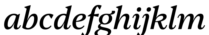 Platypi Italic Font LOWERCASE