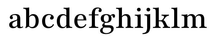 Playfair 500 Font LOWERCASE