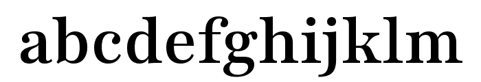 Playfair 600 Font LOWERCASE