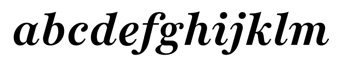 Playfair 700italic Font LOWERCASE