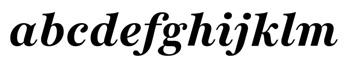 Playfair 800italic Font LOWERCASE