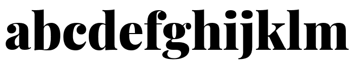 Playfair Display 900 Font LOWERCASE