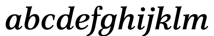 Poltawski Nowy 500italic Font LOWERCASE