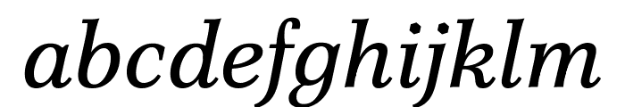 Poltawski Nowy Italic Font LOWERCASE