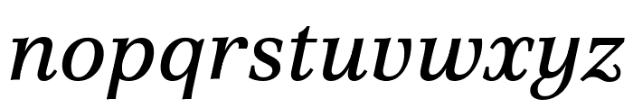 Poltawski Nowy Italic Font LOWERCASE