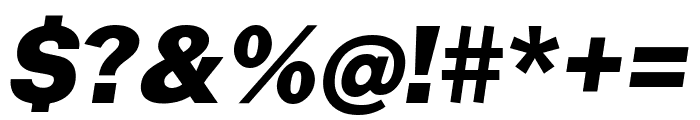 Public Sans 900italic Font OTHER CHARS