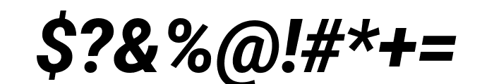 Roboto 800italic Font OTHER CHARS