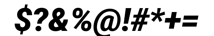 Roboto 900italic Font OTHER CHARS