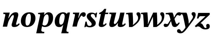 STIX Two Text 700italic Font LOWERCASE