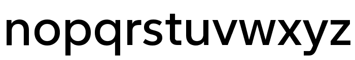 SUSE 500 Font LOWERCASE