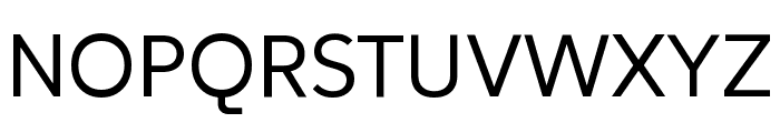 SUSE Regular Font UPPERCASE
