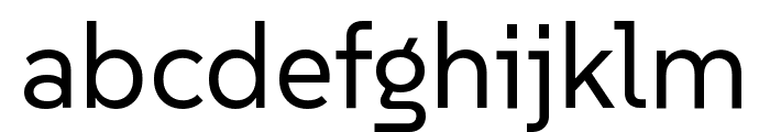 SUSE Regular FONT