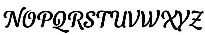 Sansita Swashed Regular Font UPPERCASE