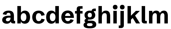 Schibsted Grotesk 700 Font LOWERCASE