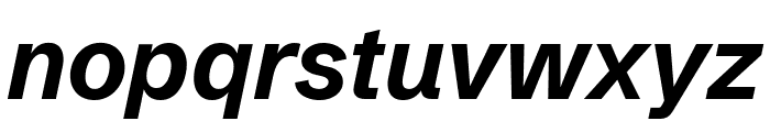 Schibsted Grotesk 700italic Font LOWERCASE