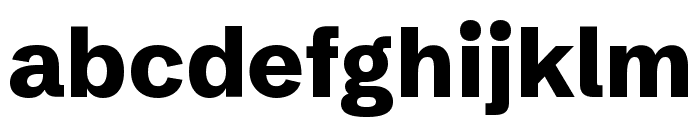 Schibsted Grotesk 800 Font LOWERCASE