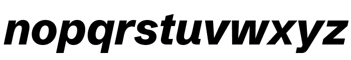 Schibsted Grotesk 800italic Font LOWERCASE