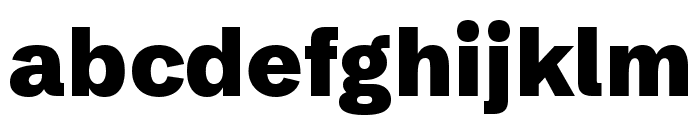 Schibsted Grotesk 900 Font LOWERCASE