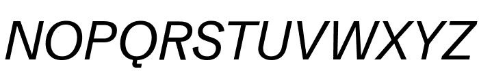 Schibsted Grotesk Italic Font UPPERCASE