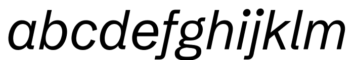 Schibsted Grotesk Italic Font LOWERCASE