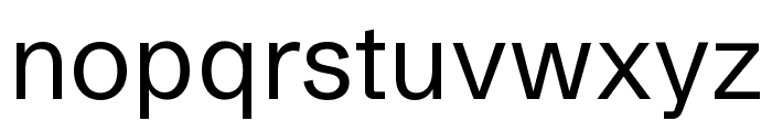 Schibsted Grotesk Regular Font LOWERCASE