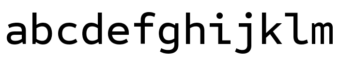 Sometype Mono 500 Font LOWERCASE