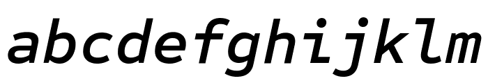 Sometype Mono 600italic Font LOWERCASE