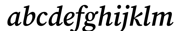 Source Serif Pro 600italic Font LOWERCASE