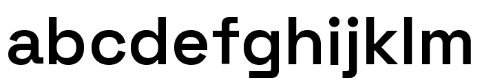 Space Grotesk 600 Font LOWERCASE