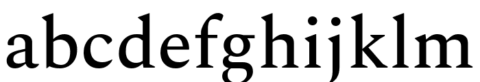 Spectral 500 Font LOWERCASE