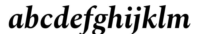Spectral 700italic Font LOWERCASE