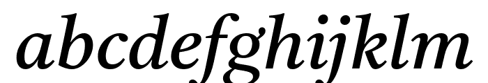 Tiro Bangla Italic Font LOWERCASE