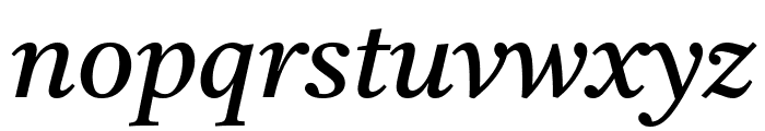 Tiro Devanagari Sanskrit Italic Font LOWERCASE