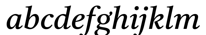 Tiro Gurmukhi Italic Font LOWERCASE