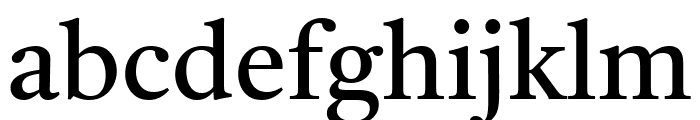 Tiro Gurmukhi Regular Font LOWERCASE