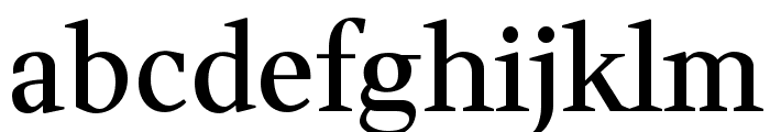 Wittgenstein 500 Font LOWERCASE