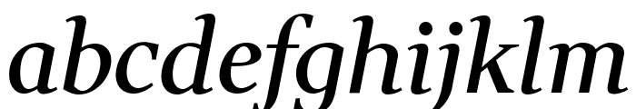 Wittgenstein 500italic Font LOWERCASE