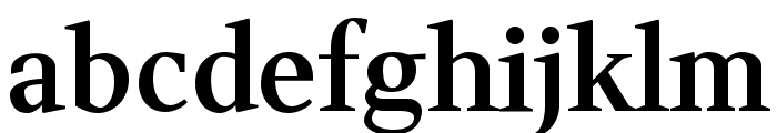 Wittgenstein 600 Font LOWERCASE