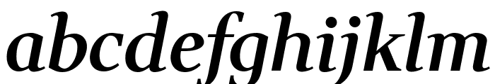 Wittgenstein 600italic Font LOWERCASE