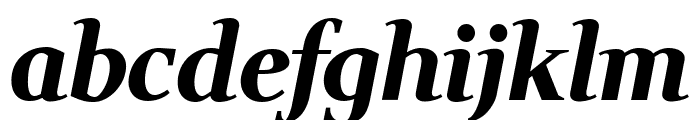 Wittgenstein 800italic Font LOWERCASE