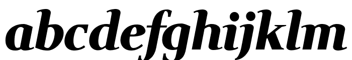 Wittgenstein 900italic Font LOWERCASE