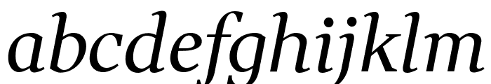 Wittgenstein Italic Font LOWERCASE