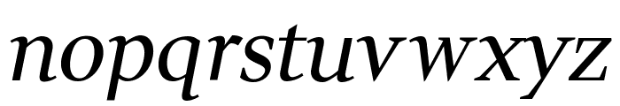 Wittgenstein Italic Font LOWERCASE