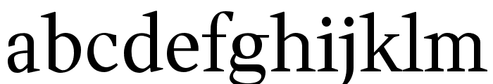 Wittgenstein Regular Font LOWERCASE