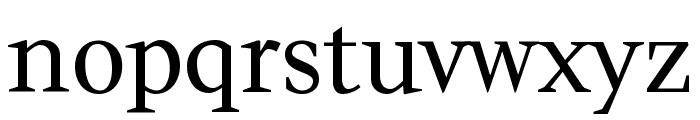 Wittgenstein Regular Font LOWERCASE