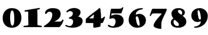 Goudy Stout Font OTHER CHARS